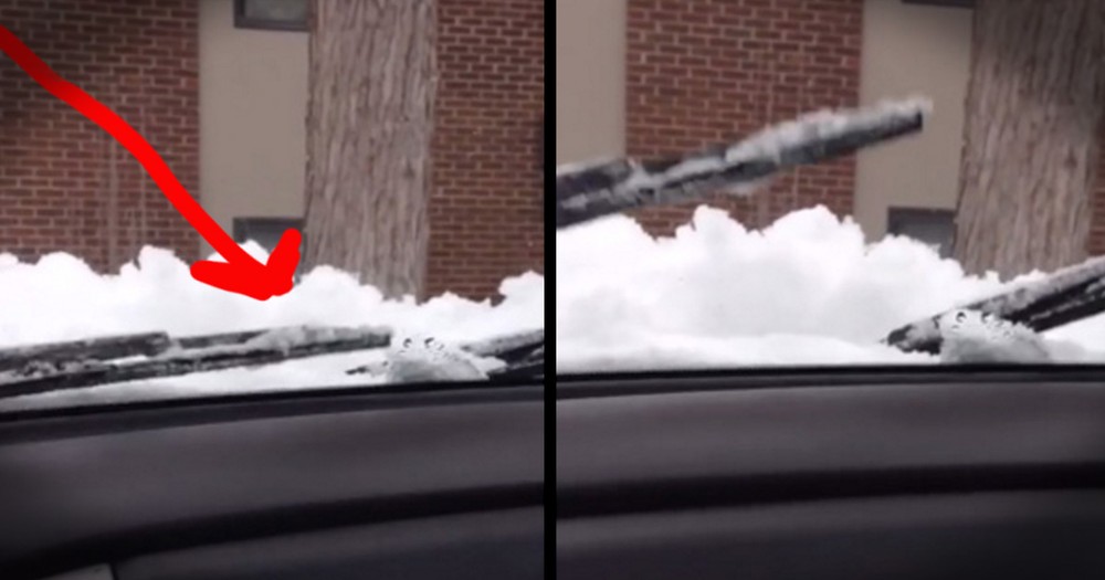 Man Singing To His Windshield Wipers Will Make You LOL