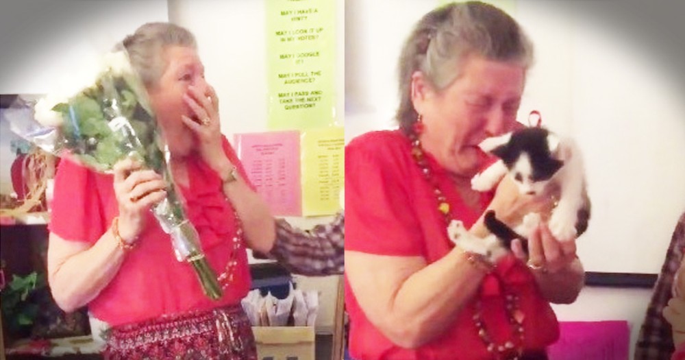 Teacher Grieving The Loss Of Her Cat Gets Adorable Kitten Surprise
