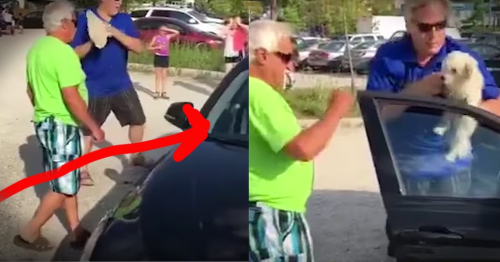 Men Bravely Rescue Dog In A Hot Car 