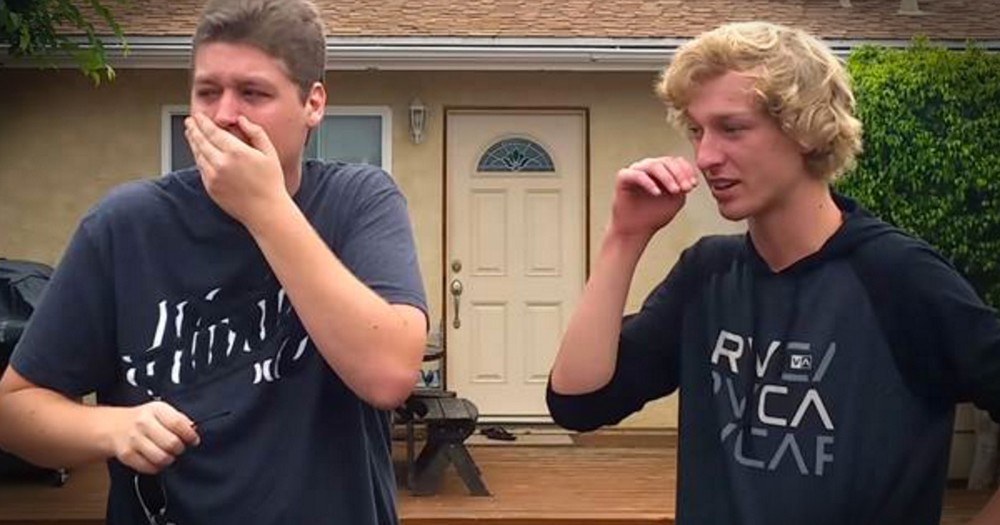 Colorblind Brother's Seeing Color For The First Time Is Tear-Jerking