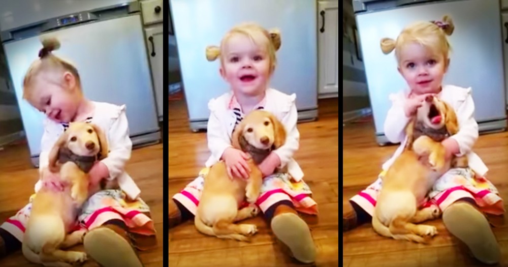 Little Girl And Puppy Share Precious Snuggles