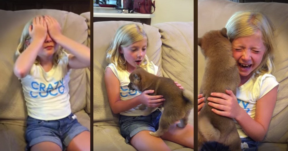 Little Girl's Reaction To Her Birthday Puppy Will Bring On The Feels