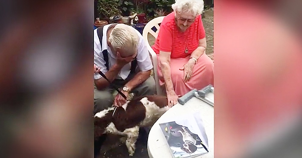 This Family Surprised Their Grandpa With A Dog After He Loses His Beloved Friend, And I'm Crying!