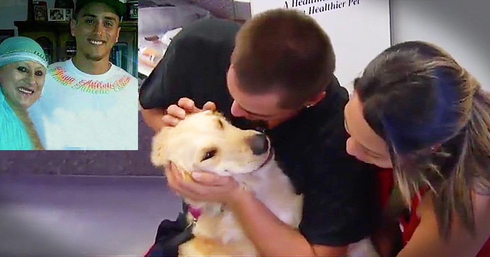 His Mom Died And His Dog Was Lost Until A Touching Reunion Days Later