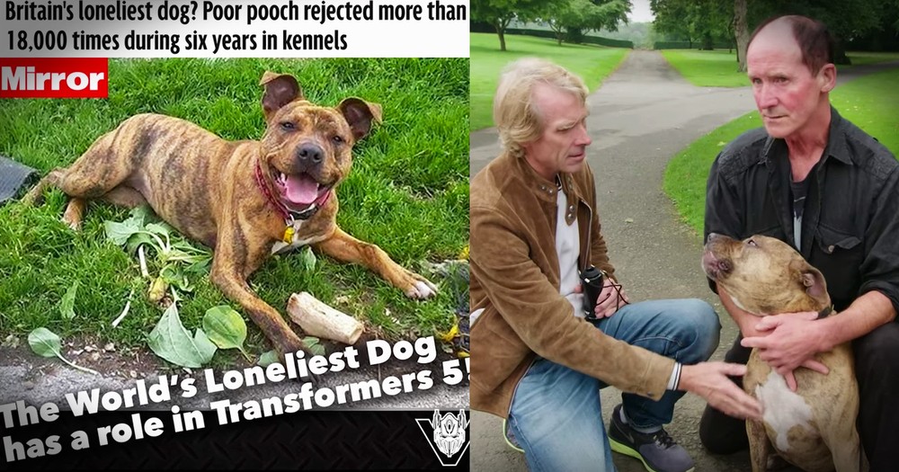 The Loneliest Dog Just Got A Home And A Staring Movie Role