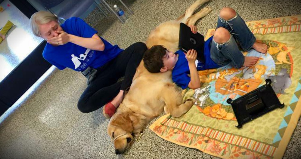 The Moment This Boy Met His Service Dog Will Bring On The Tears