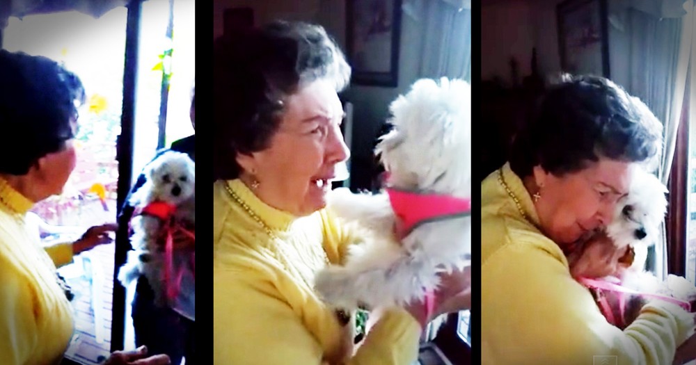Grandma Has The Sweetest Reaction To Her Surprise Puppy
