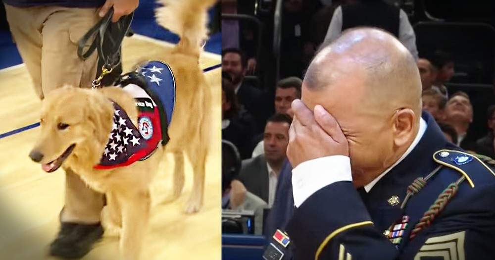 Vet Thinks He's Getting Honored With A Jersey And Meets His New Best Friend