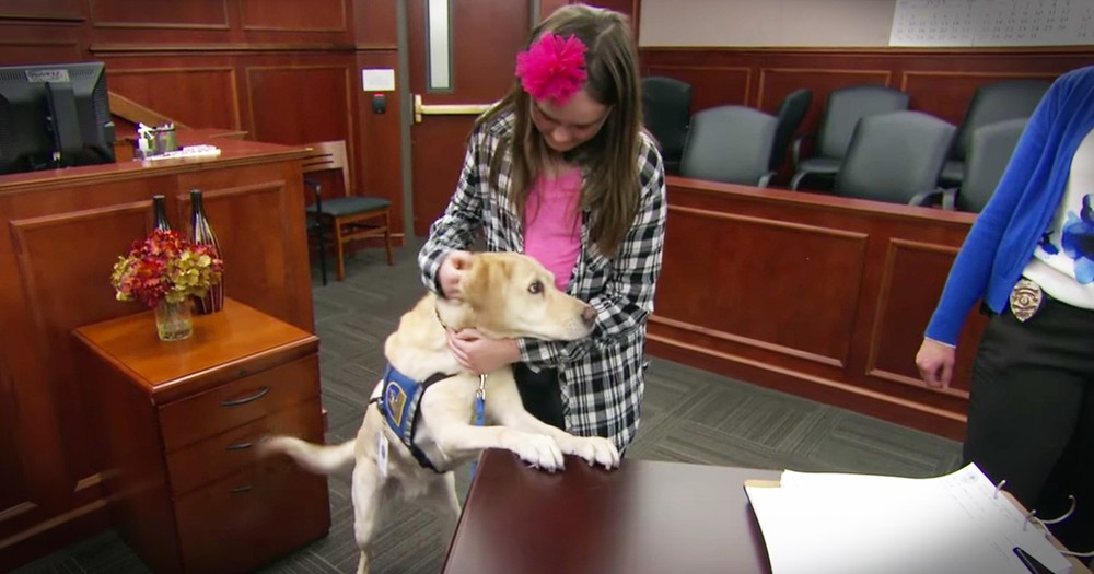 Service Dog Helps Traumatized Kids Face Their Fears In Court