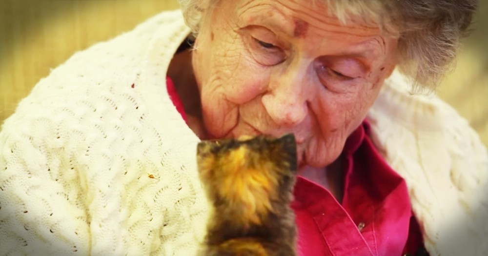 Nursing Home Seniors Are Saving Kittens In The Most Beautiful Way