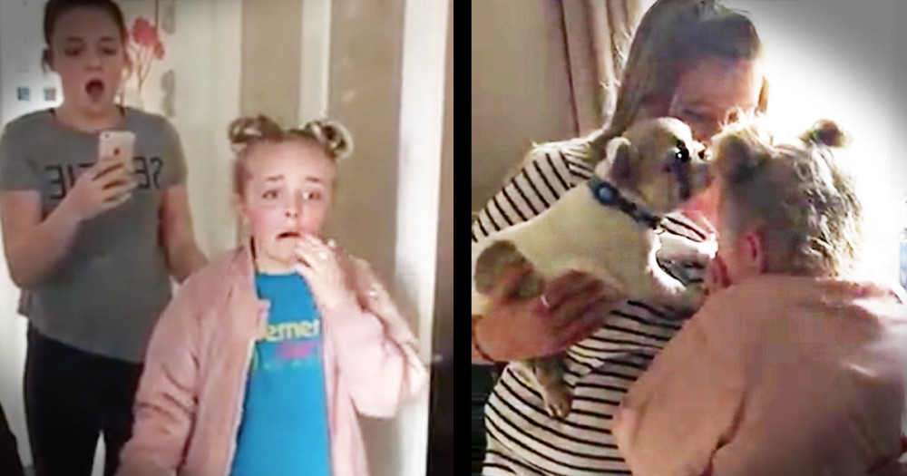 Little Girl Has The Sweetest Reaction To Her Surprise Puppy