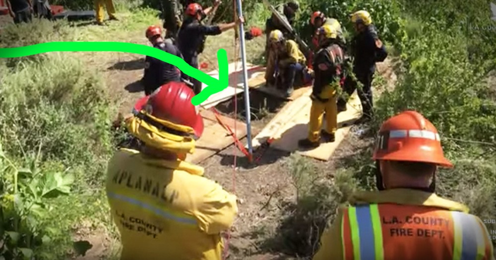 Watch As Firefighter Goes Down 30-Foot Well To Save Fallen Dog