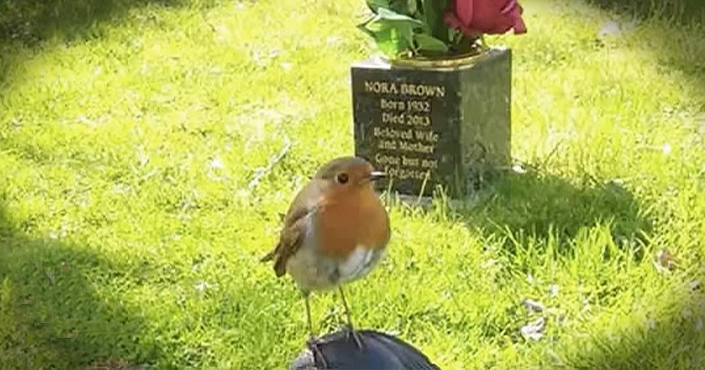 Mother Sees Beautiful Sign While Visiting Grave Of Her Deceased Son