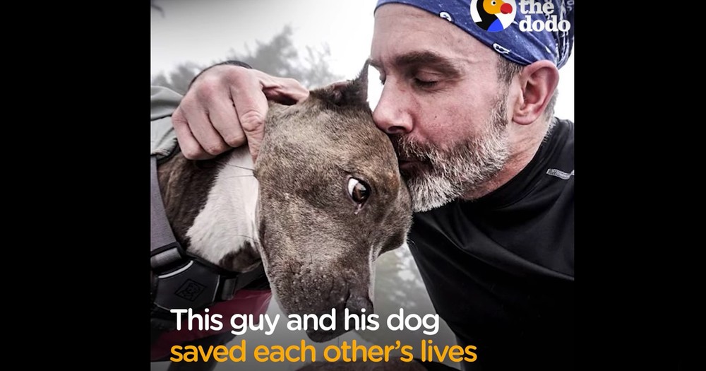 Recovering Addict Gets A Dog And Seeing How They Healed Each Other Is Incredible