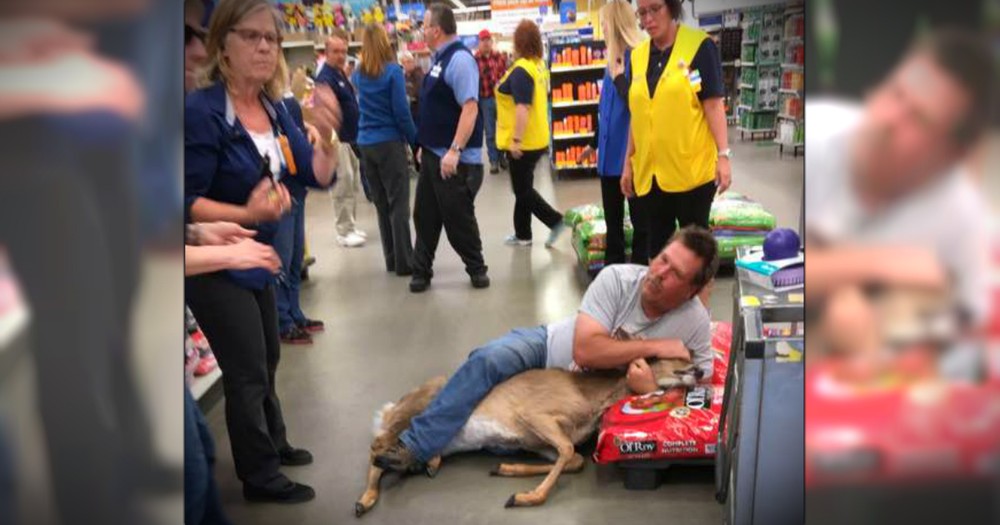 Unsuspecting Shopper Takes Down A Stray Deer In Walmart