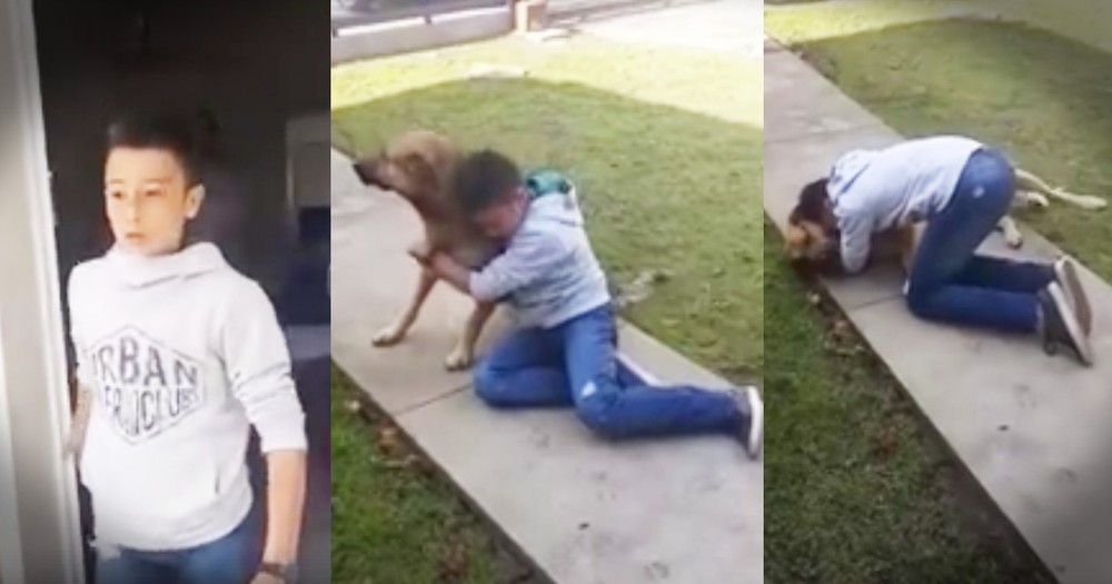 Little Boy Has A Beautifully Tearful Reunion With His Lost Dog 