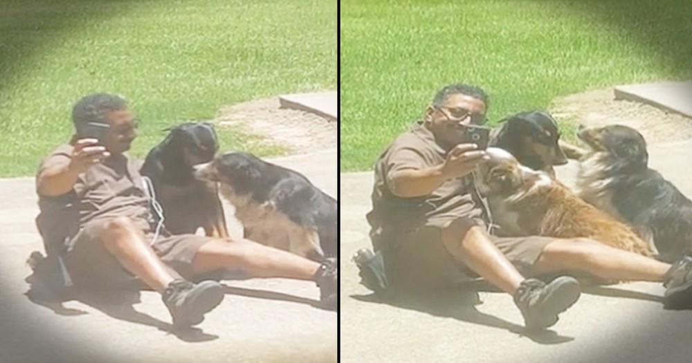 UPS Delivery Driver Stops To Take Selfies With Dogs 