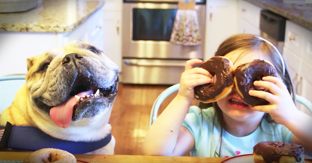 4-Year-Old Girl And Her Adorable Dog Are Inseparable