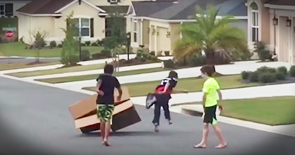 Boys Hilariously Try To Catch A Runaway Box