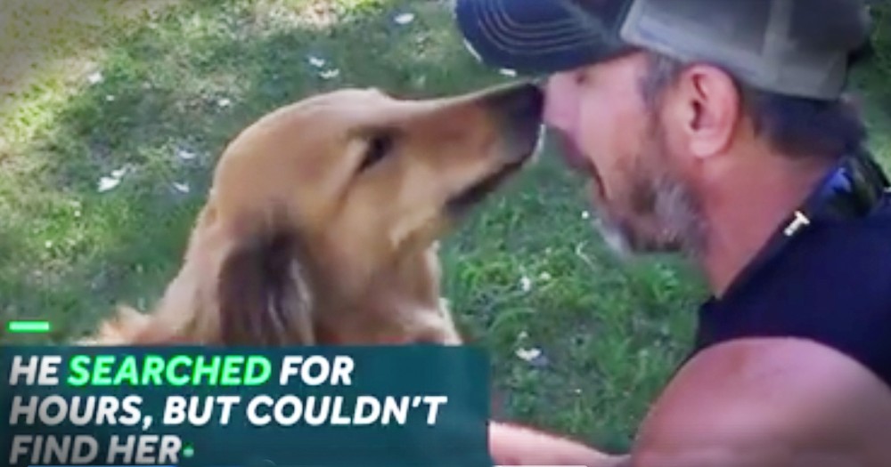 Man Reunited With The Dog He Feared Was Dead