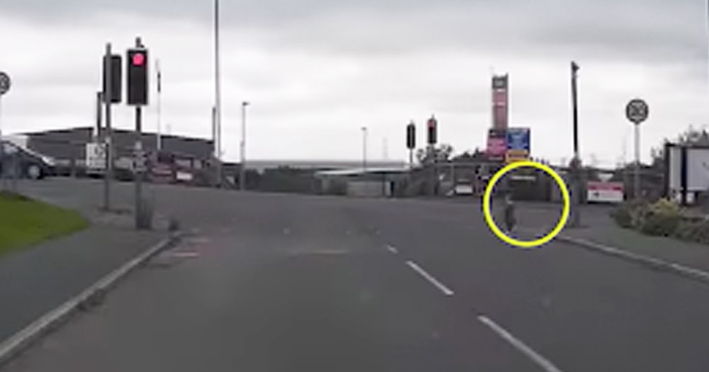 Lost Toddler Walking On Busy Highway Saved On Camera