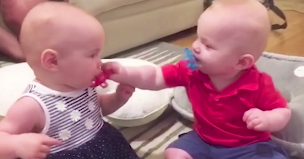 Silly Twin Babies Steel Each Others Pacifiers