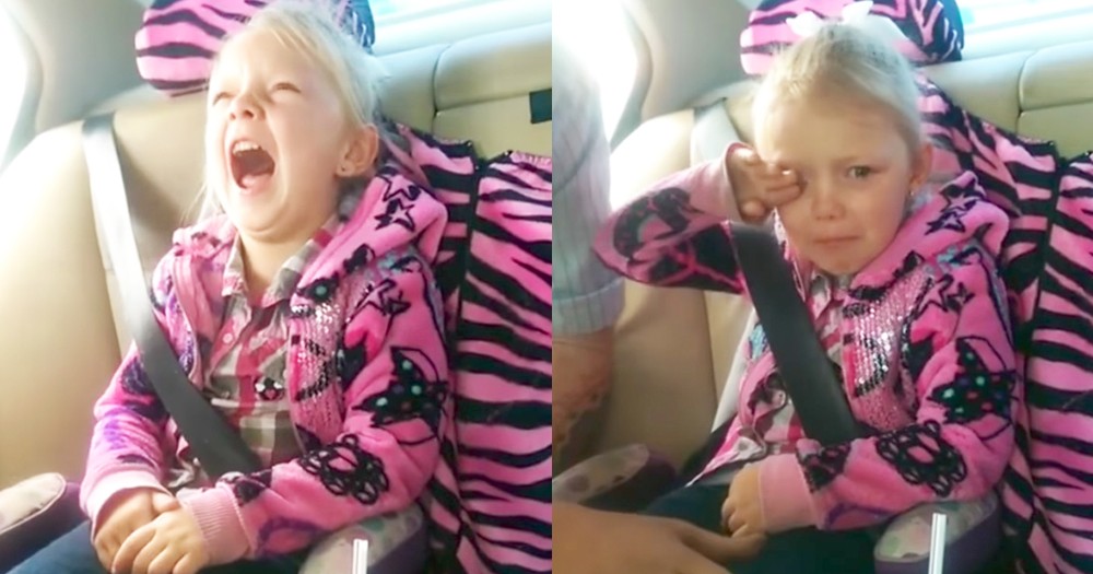 5-Year-Old Adorably Reacts To News Of Getting A Kitten