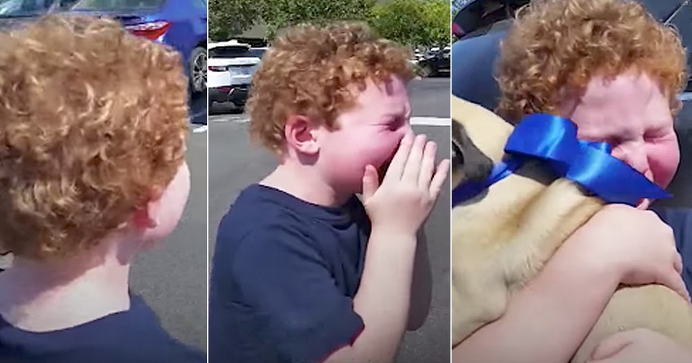 Boy's Heartwarming Reaction To Getting To Keep His Foster Puppy