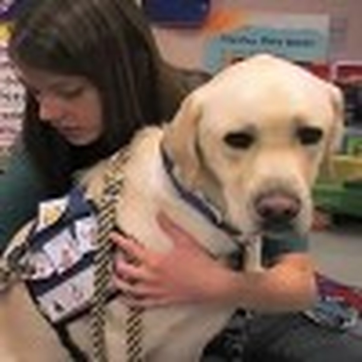 Amazing Dog Dedicates his Life to Helping Kids - This is Great!