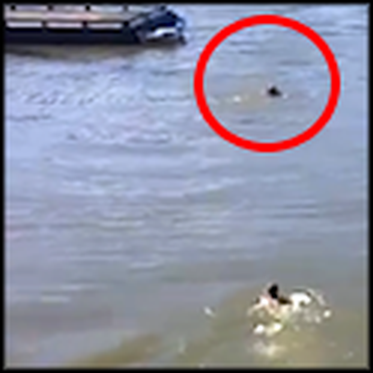 Cell Phone Camera Captures a Homeless Man Drowning in a River - But ...