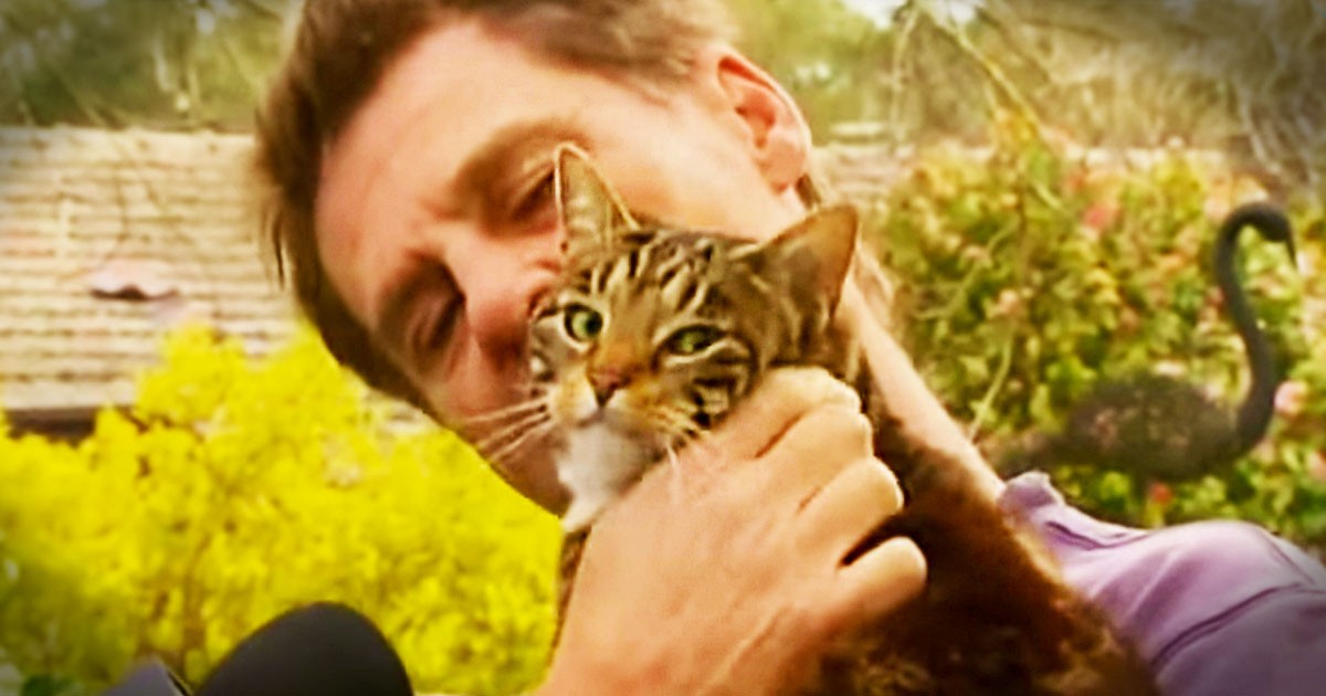 This Man Gave His Kitty A Forever Home, But HIS Life's The One That Was
