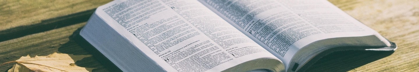Daily Bible Verses