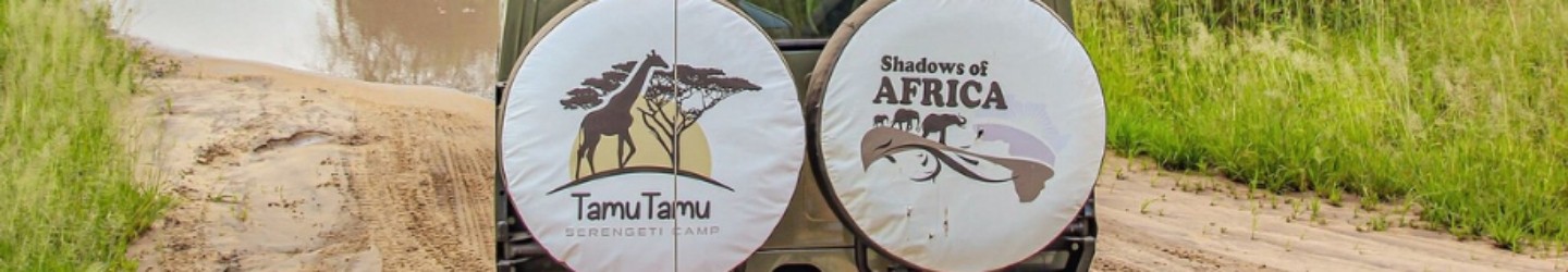 shadows  of Africa