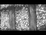 The Long Way Home- David Dilsizian