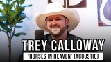 Trey Calloway | 'Horses In Heaven' (acoustic)