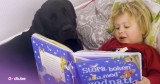 Precious Child And Black Lab Have The Sweetest Relationship