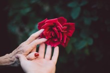 21 Bible Verses and Quotes to Encourage the Important Women in Your Life
