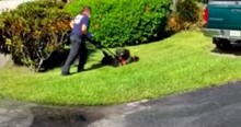 Fort Lauderdale Firefighters Show Up To Save 83-Year-Old Veteran But Stay To Mow His Lawn