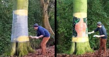Man Starts Painting A Tree And What's Left When He's Done Is A Mind-Blowing Illusion