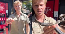 Cameras Caught the Crazy Moment Robert Irwin Removed a Python Stuck in a Vending Machine