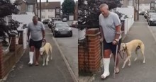 Man On Crutches Worries When His Dog Keeps Limping, Then Discovers It's Just Sympathy
