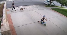 Security Cameras Catch Boy Riding Bike Through Driveway Every Day So Man Takes Action