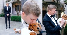 Dog Takes Bride's Place During First Look, and Just Wait 'Til You See How the Pup Reacts