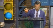 The Story Behind Mister Rogers' Habit Of 'Announcing' When He Was Feeding The Fish