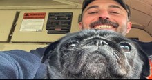 Train Driver Acted Fast To Rescue A Scared Pug, Then Came A Tearful Reunion With The Owners