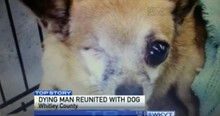 A Man and His Dog Were Dying Without Each Other. But When Nurses Broke The Rules A Miracle Happened!