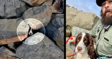 Man At The Beach Hears Strange Sound, Then Finds A Pair Of Eyes Staring Back At Him