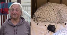 Falling Meteorite Smashes Into Bed And Lands On Pillow, Just Barely Missing Sleeping Grandma
