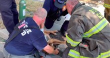 Tense Footage Shows Brave Firefighters Refusing To Give Up On Dog Rescued From Burning Home