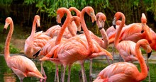 25 Random Facts GUARANTEED To Make You Happy. I'm 'Binkying' With #15 Right Now!